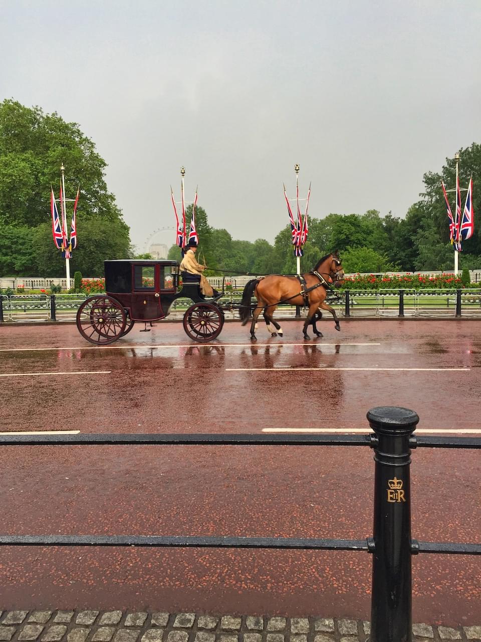Horse and carriage in the rain